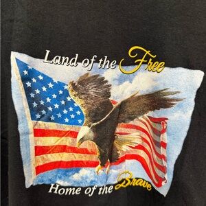 Patriotic Eagle & American Flag Graphic T-Shirt